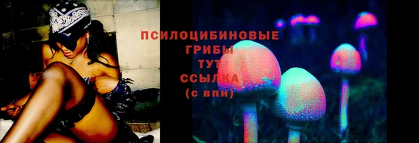 соль курить ск Каменногорск