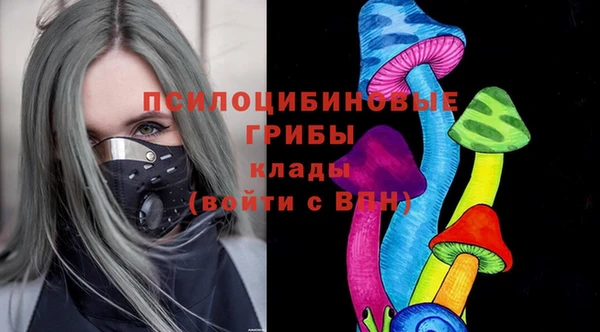 соль курить ск Каменногорск