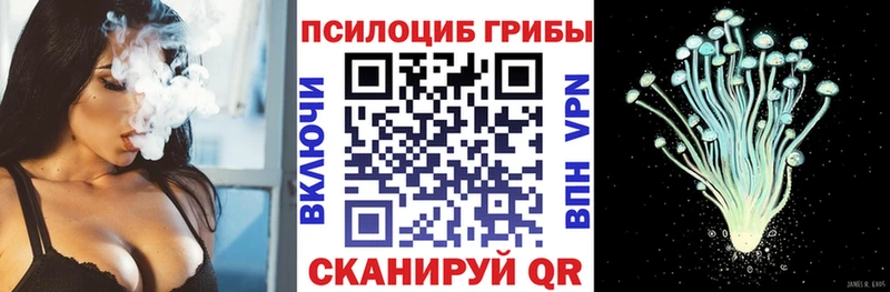 Псилоцибиновые грибы Cubensis что такое наркотик Иноземцево